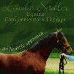 Equine Complementary Therapy