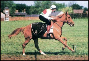 Linda Sadler riding HANOOF