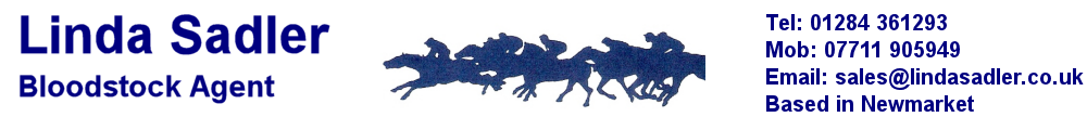 Website header for Linda Sadler Bloodstock Agent near Newmarket